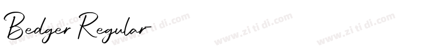 Bedger Regular字体转换